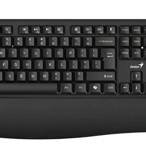 Teclado Genius Kb-123 Usb Copilot Con Reposamuñecas Negro