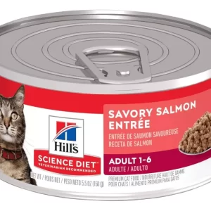 Hills Húmedo Gato Salmon 5.5oz