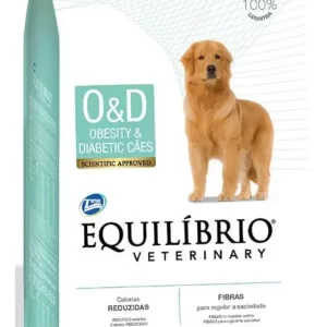 Equilibrio Obesidad Diabe 7.5k