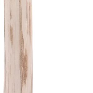 Palos De Café Para Perros